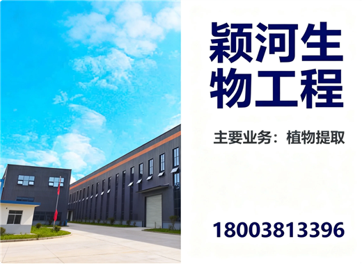 颖河郑州线上分站